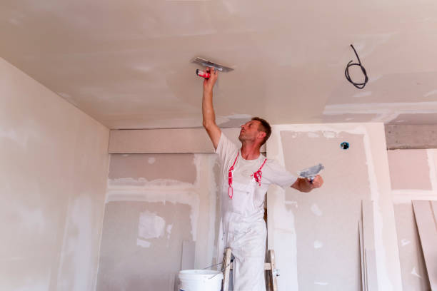 Best Fire-Damaged Drywall Repair  in Madison, IL